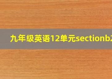 九年级英语12单元sectionb2b