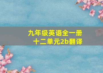 九年级英语全一册十二单元2b翻译