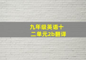 九年级英语十二单元2b翻译