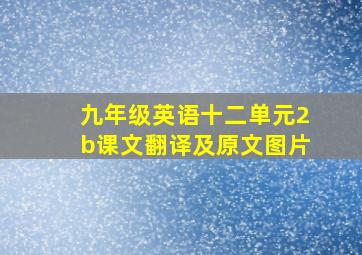 九年级英语十二单元2b课文翻译及原文图片