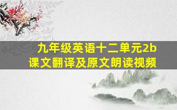 九年级英语十二单元2b课文翻译及原文朗读视频