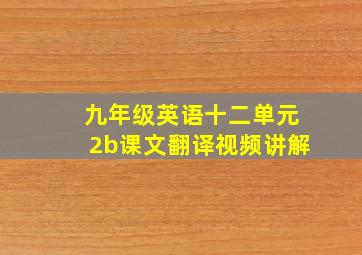 九年级英语十二单元2b课文翻译视频讲解