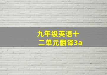 九年级英语十二单元翻译3a