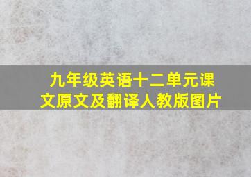 九年级英语十二单元课文原文及翻译人教版图片