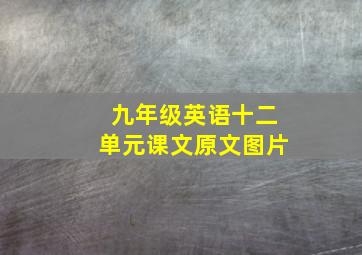 九年级英语十二单元课文原文图片