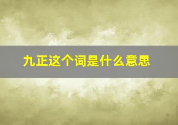 九正这个词是什么意思