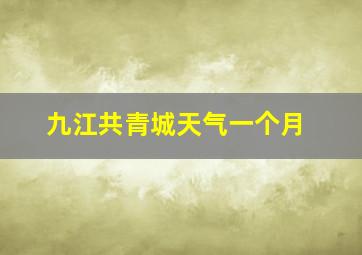 九江共青城天气一个月