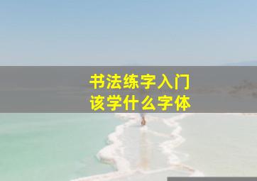 书法练字入门该学什么字体