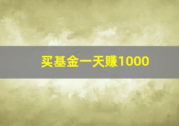 买基金一天赚1000