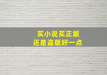 买小说买正版还是盗版好一点