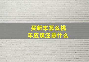 买新车怎么挑车应该注意什么