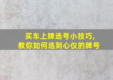 买车上牌选号小技巧,教你如何选到心仪的牌号