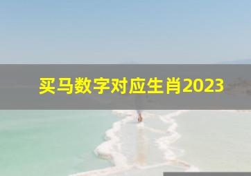 买马数字对应生肖2023