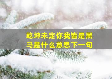 乾坤未定你我皆是黑马是什么意思下一句