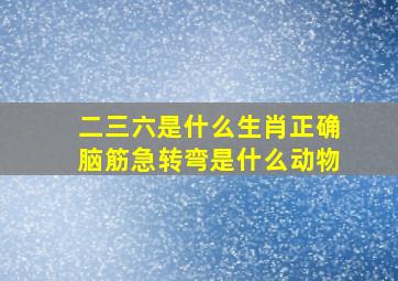 二三六是什么生肖正确脑筋急转弯是什么动物