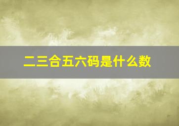 二三合五六码是什么数