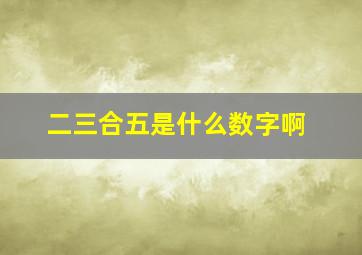 二三合五是什么数字啊