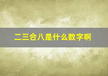 二三合八是什么数字啊