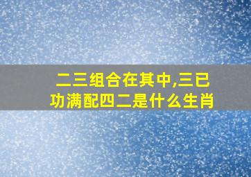 二三组合在其中,三已功满配四二是什么生肖