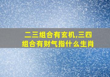 二三组合有玄机,三四组合有财气指什么生肖