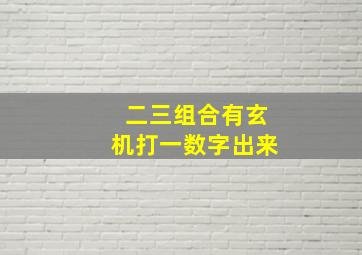 二三组合有玄机打一数字出来