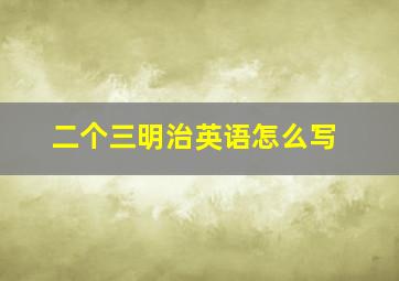 二个三明治英语怎么写