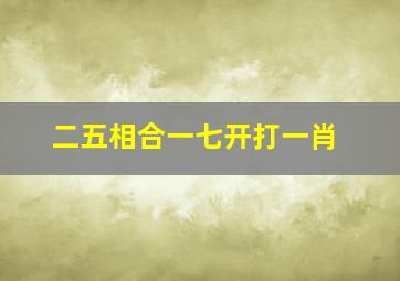 二五相合一七开打一肖