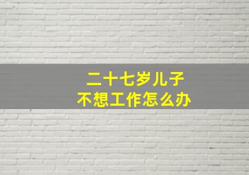 二十七岁儿子不想工作怎么办