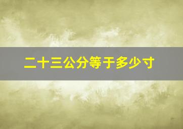 二十三公分等于多少寸