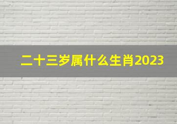 二十三岁属什么生肖2023