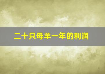 二十只母羊一年的利润