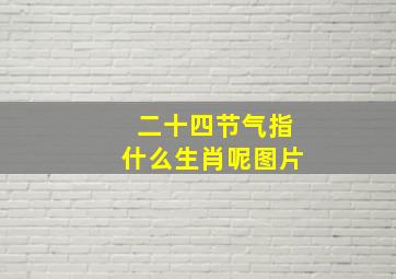 二十四节气指什么生肖呢图片