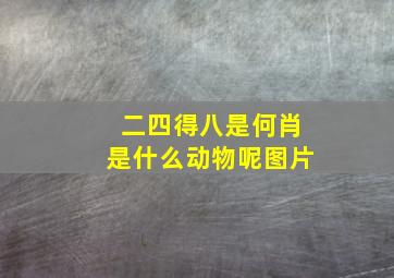 二四得八是何肖是什么动物呢图片