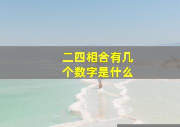 二四相合有几个数字是什么