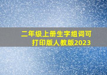 二年级上册生字组词可打印版人教版2023