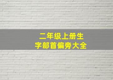 二年级上册生字部首偏旁大全