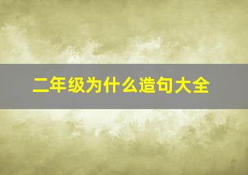 二年级为什么造句大全