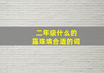 二年级什么的露珠填合适的词