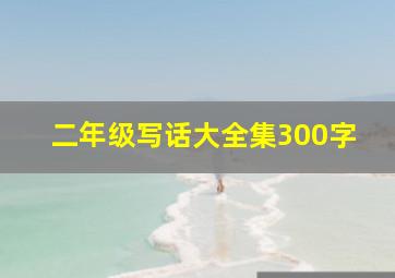 二年级写话大全集300字