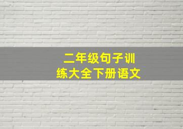 二年级句子训练大全下册语文