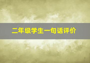 二年级学生一句话评价