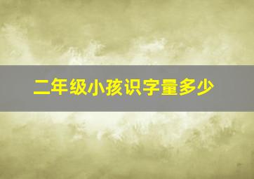 二年级小孩识字量多少