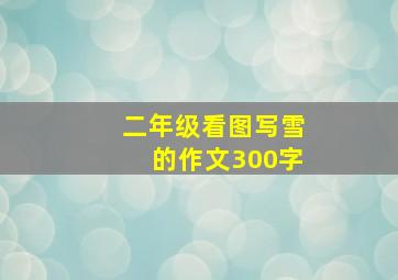 二年级看图写雪的作文300字