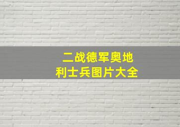 二战德军奥地利士兵图片大全