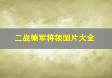 二战德军将领图片大全