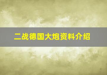 二战德国大炮资料介绍