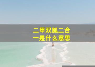 二甲双胍二合一是什么意思