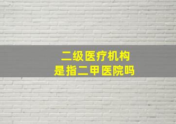 二级医疗机构是指二甲医院吗