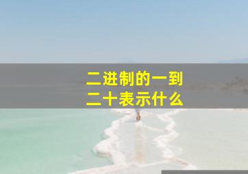 二进制的一到二十表示什么