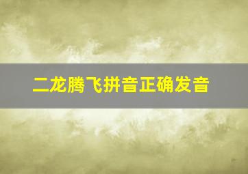 二龙腾飞拼音正确发音